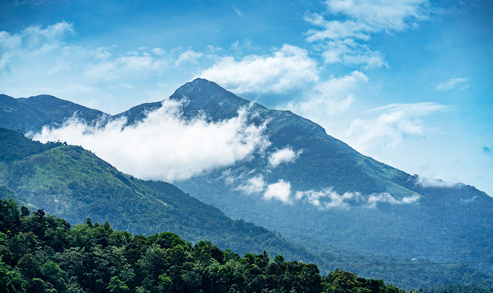 Princess De Munnar Deluxe Rooms